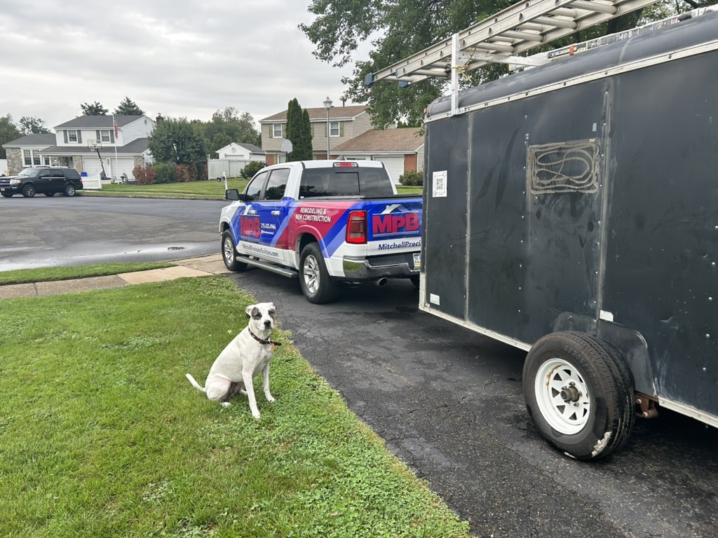 Puppy by truck and trailer